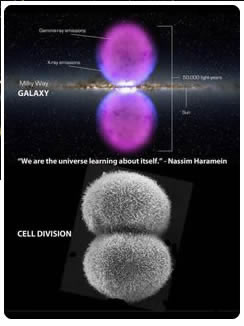 galaxy - cell division
